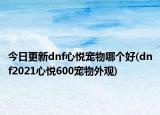 今日更新dnf心悦宠物哪个好(dnf2021心悦600宠物外观)