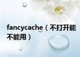 fancycache（不打开能不能用）