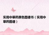实用中草药原色图谱书（实用中草药图谱）