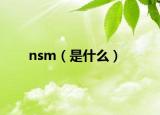 nsm（是什么）