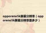 opporeno5k屏幕分辨率（opporeno5k屏幕分辨率是多少）