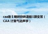 caa璁＄畻姘斿姩澹板灏变笟（CAA 计算气动声学）