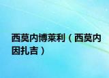 西莫内博莱利（西莫内因扎吉）