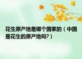 花生原产地是哪个国家的（中国是花生的原产地吗?）