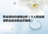 职业目标价值观分析（个人职业愿景职业使命职业价值观）