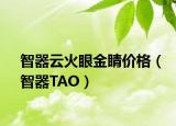 智器云火眼金睛价格（智器TAO）