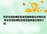 枪杀安倍的嫌犯将接受精神鉴定详细内容 枪杀安倍的嫌犯将接受精神鉴定具体介绍
