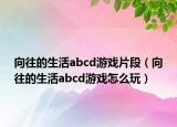 向往的生活abcd游戏片段（向往的生活abcd游戏怎么玩）