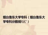 烟台鲁东大学专科（烟台鲁东大学专科分数线\