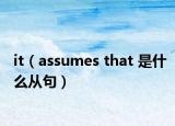 it（assumes that 是什么从句）