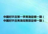 中国好声音第一季黄渤是哪一期（中国好声音黄渤完整版是哪一期）