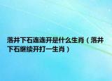 落井下石连连开是什么生肖（落井下石继续开打一生肖）