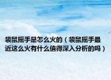 袋鼠摇手是怎么火的（袋鼠摇手最近这么火有什么值得深入分析的吗）