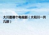 大川是哪个电视剧（大和川一共几部）