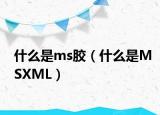 什么是ms胶（什么是MSXML）