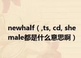 newhalf（,ts, cd, shemale都是什么意思啊）