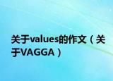 关于values的作文（关于VAGGA）