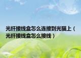 光纤接线盒怎么连接到光猫上（光纤接线盒怎么接线）