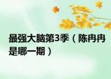 最强大脑第3季（陈冉冉是哪一期）