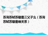 苏洵苏轼苏辙是三父子么（苏洵苏轼苏辙是啥关系）