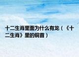 十二生肖里面为什么有龙（《十二生肖》里的铜首）
