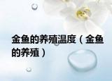 金鱼的养殖温度（金鱼的养殖）