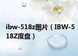 ibw-518z图片（IBW-518Z度盘）