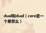 dual和dual（core是一个意思么）