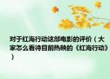 对于红海行动这部电影的评价（大家怎么看待目前热映的《红海行动》）