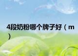 4段奶粉哪个牌子好（m）