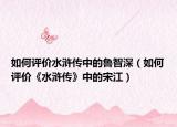 如何评价水浒传中的鲁智深（如何评价《水浒传》中的宋江）