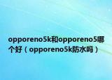opporeno5k和opporeno5哪个好（opporeno5k防水吗）