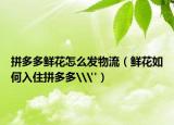 拼多多鲜花怎么发物流（鲜花如何入住拼多多\