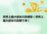 世界上最大的冰川在哪里（世界上最大的冰川在那个洲）