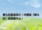 第九区剧情简介（中国版《第九区》结局是什么）