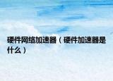 硬件网络加速器（硬件加速器是什么）