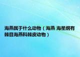 海燕属于什么动物（海燕 海星纲有棘目海燕科棘皮动物）