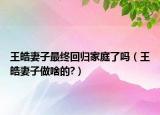 王皓妻子最终回归家庭了吗（王皓妻子做啥的?）