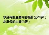 水浒传的主要内容是什么20字（水浒传的主要内容）