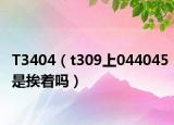 T3404（t309上044045是挨着吗）
