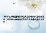 不识庐山真面目只缘身在此山中识和此是什么意思（不识庐山真面目只缘身在此山中识是什么意思）