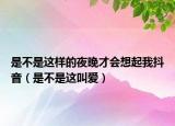 是不是这样的夜晚才会想起我抖音（是不是这叫爱）