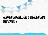 花卉蓟马防治方法（西花蓟马的防治方法）