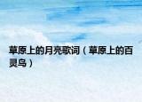 草原上的月亮歌词（草原上的百灵鸟）