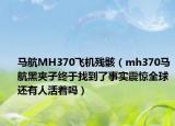 马航MH370飞机残骸（mh370马航黑夹子终于找到了事实震惊全球还有人活着吗）
