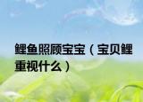 鲤鱼照顾宝宝（宝贝鲤重视什么）