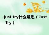 just try什么意思（Just Try）