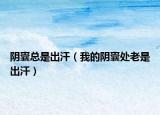 阴囊总是出汗（我的阴囊处老是出汗）