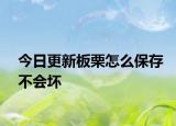 今日更新板栗怎么保存不会坏