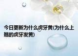 今日更新为什么虎牙黄(为什么上翘的虎牙发黄)